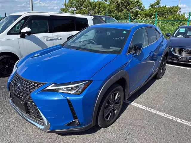 LEXUS UX250H