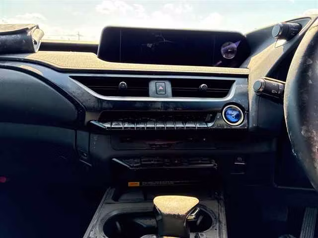 LEXUS UX250H
