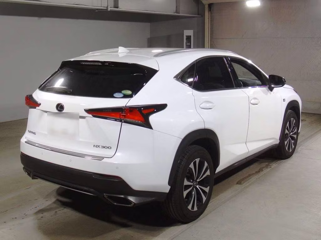 LEXUS NX300