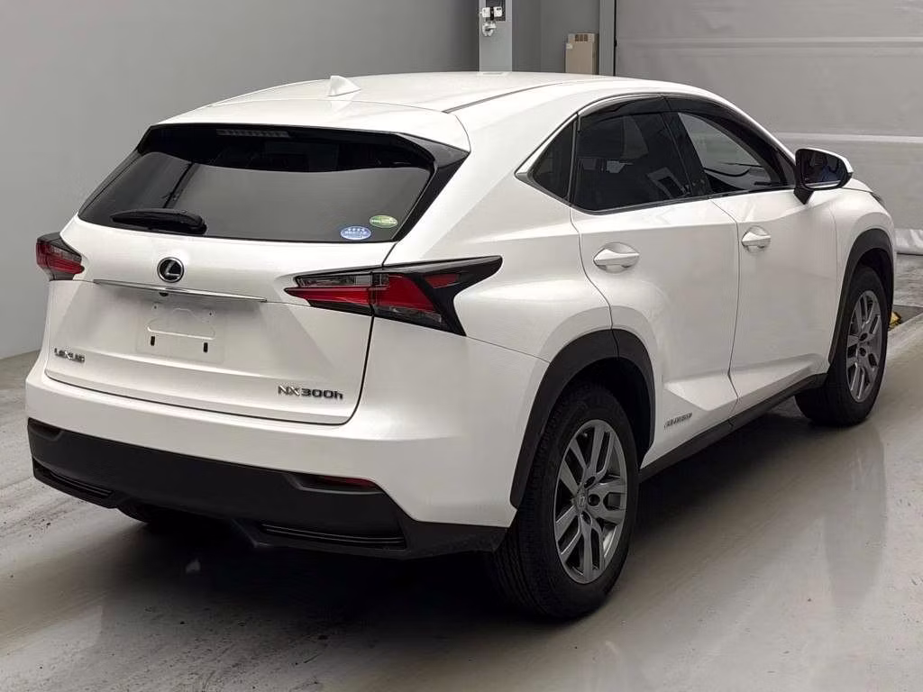 LEXUS NX300