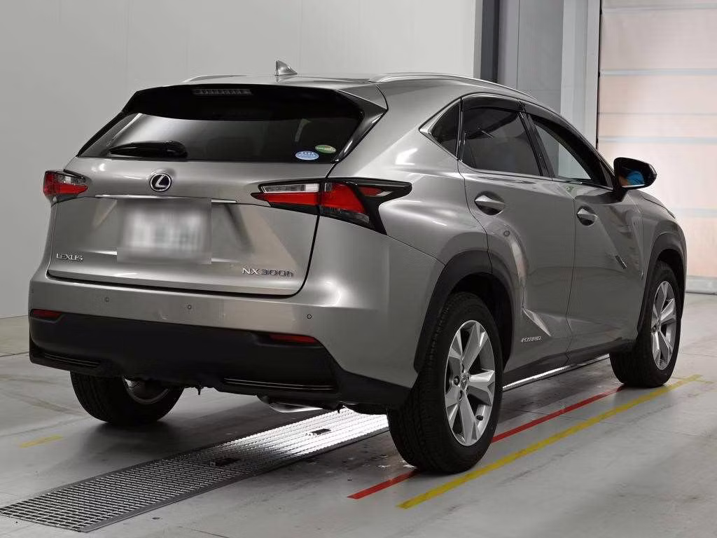 LEXUS NX300