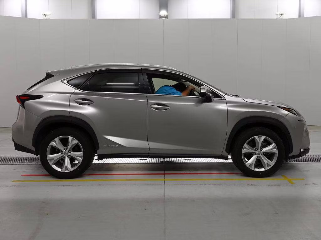 LEXUS NX300