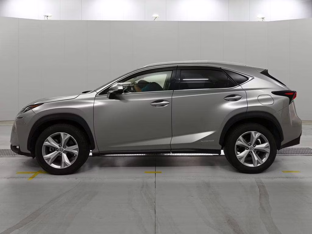 LEXUS NX300