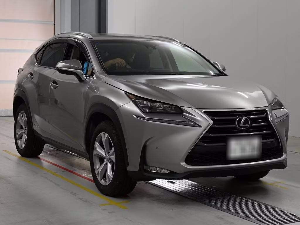 LEXUS NX300