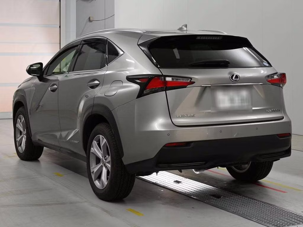 LEXUS NX300
