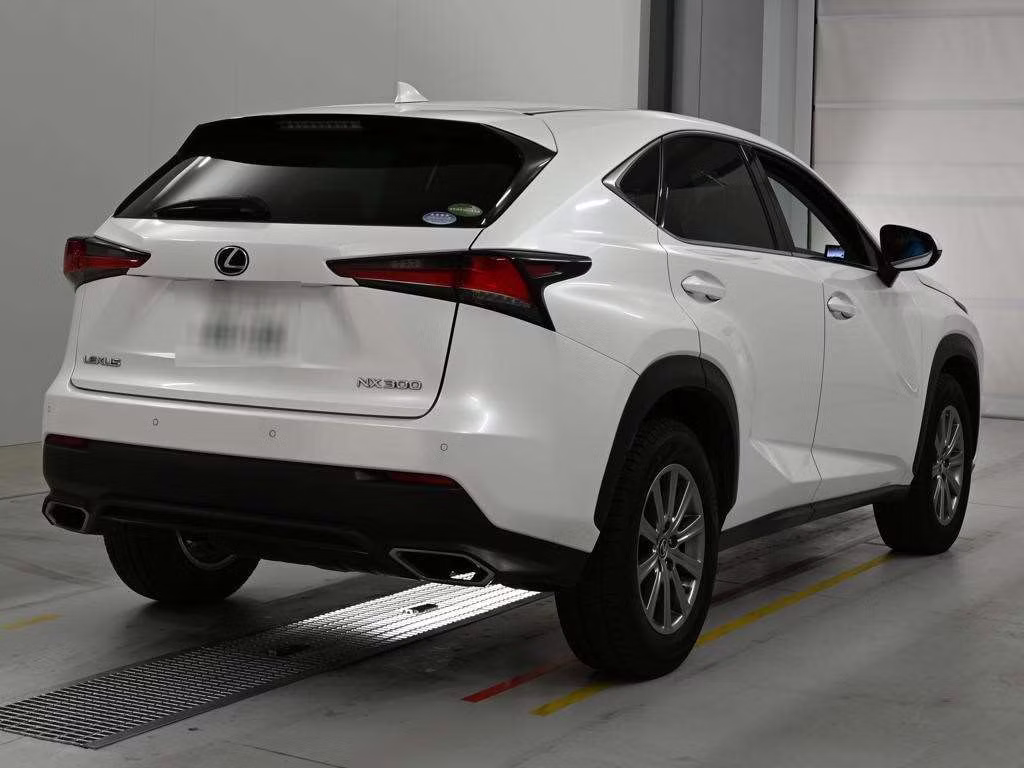 LEXUS NX300
