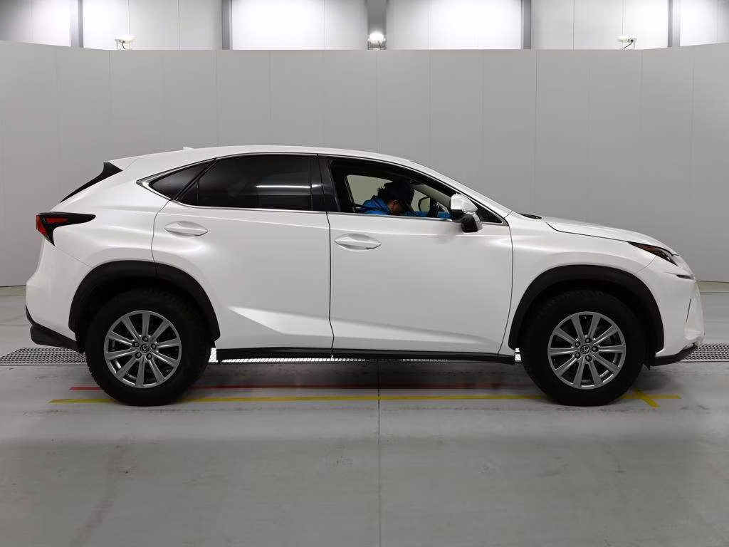 LEXUS NX300