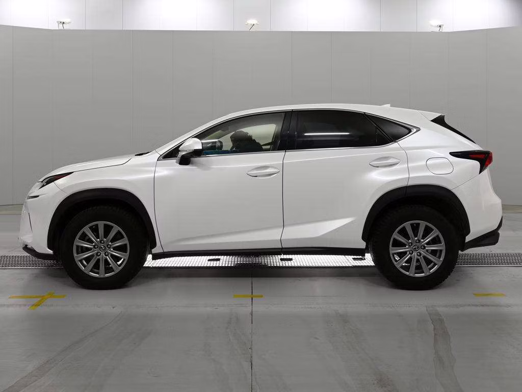 LEXUS NX300