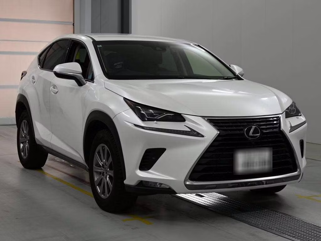 LEXUS NX300
