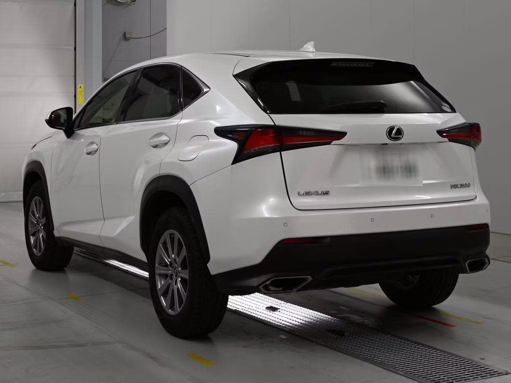 LEXUS NX300