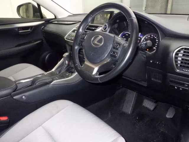 LEXUS NX300H