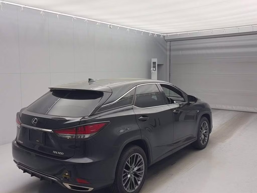 LEXUS RX300