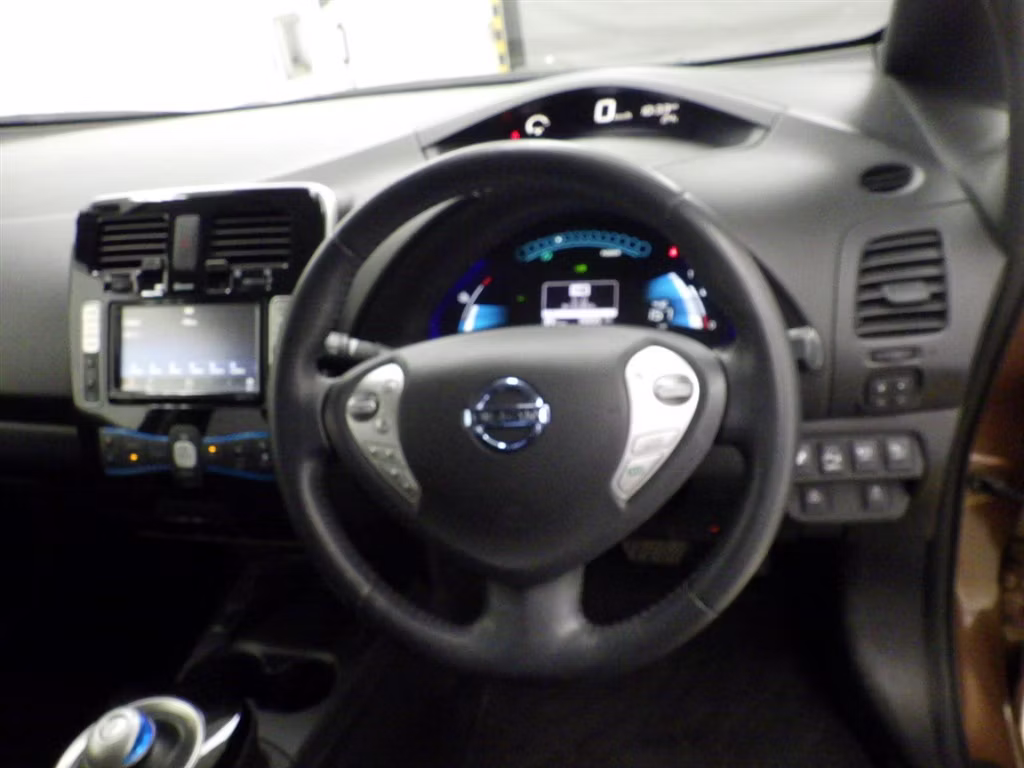 NISSAN LEAF