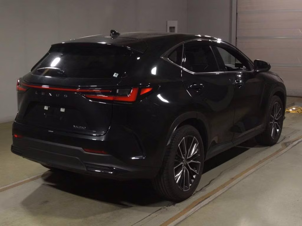 LEXUS NX250