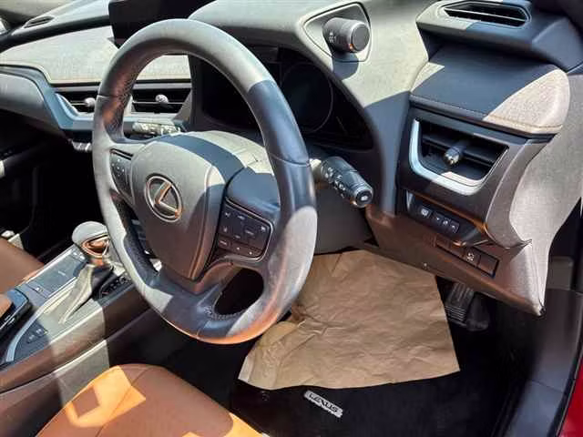 LEXUS UX250H