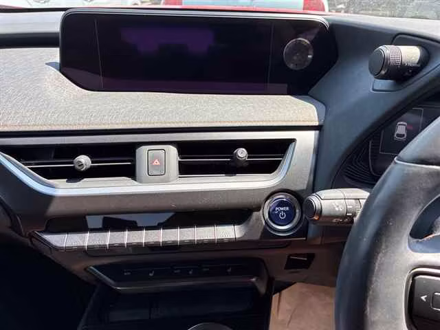 LEXUS UX250H