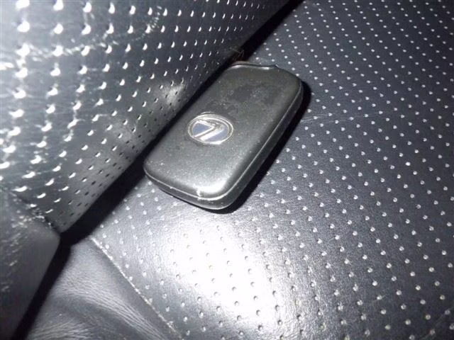 LEXUS HS250H