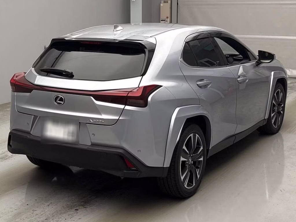 LEXUS UX300H