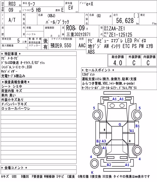 NISSAN LEAF