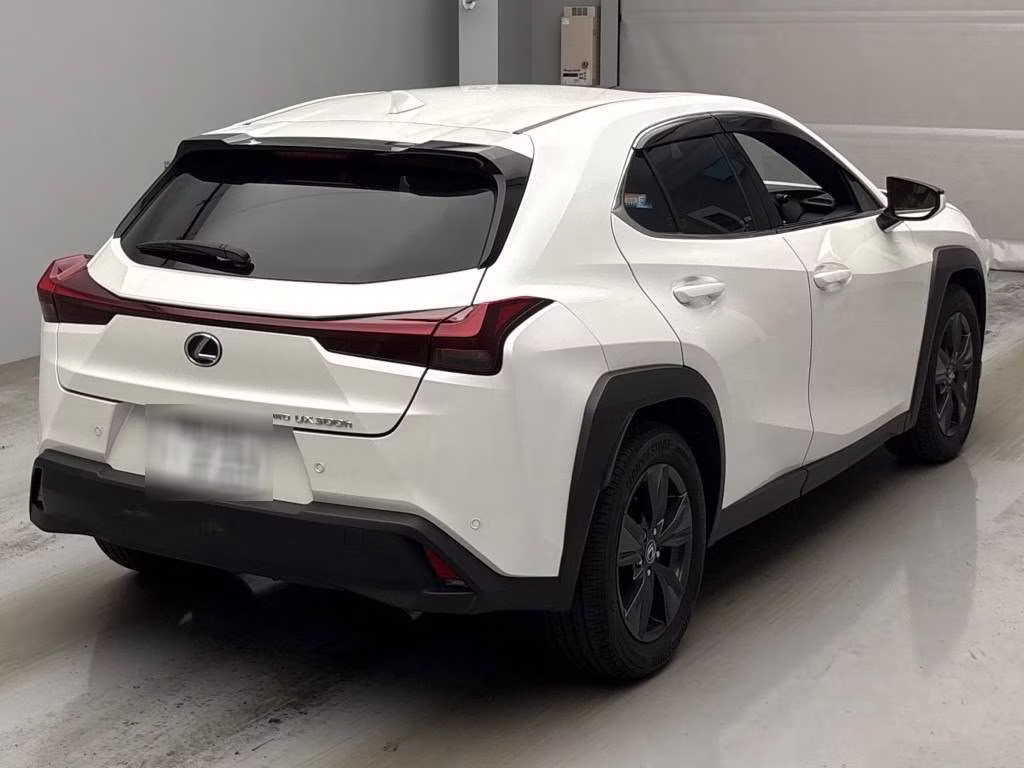 LEXUS UX300H