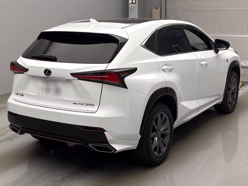 LEXUS NX300