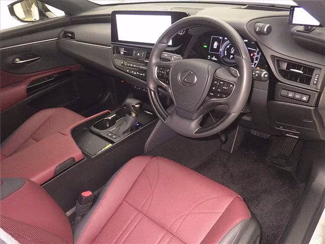 LEXUS ES300H
