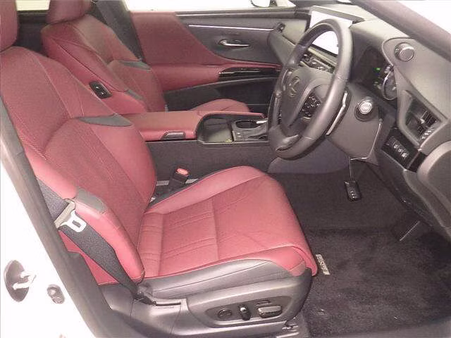 LEXUS ES300H