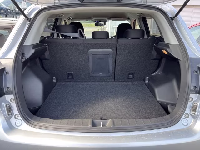 MITSUBISHI RVR