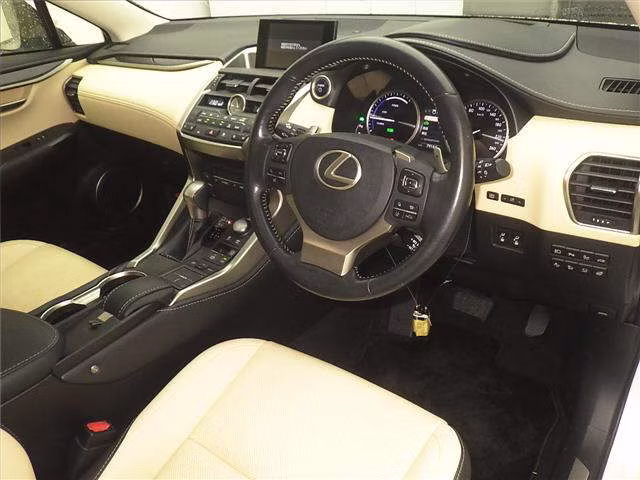 LEXUS NX300H