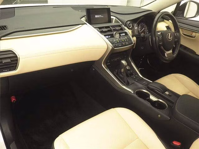 LEXUS NX300H