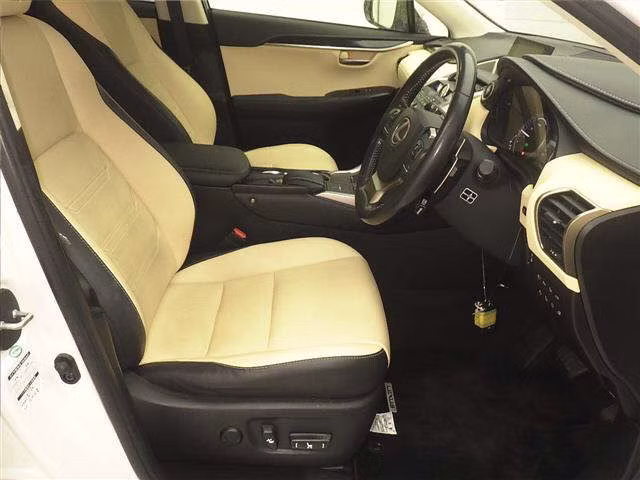 LEXUS NX300H