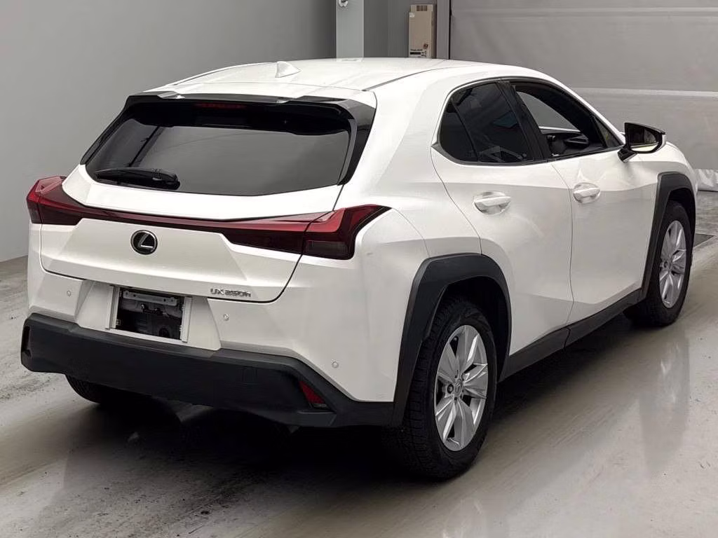 LEXUS UX250H
