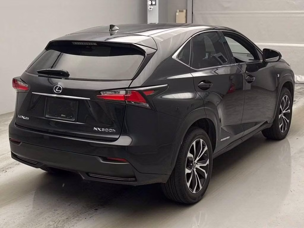 LEXUS NX300H
