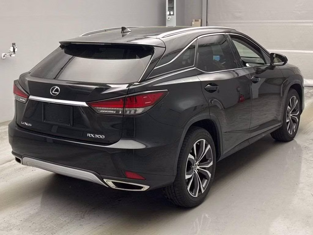 LEXUS RX300