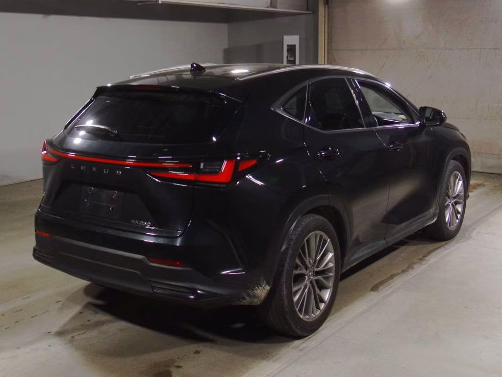 LEXUS NX250