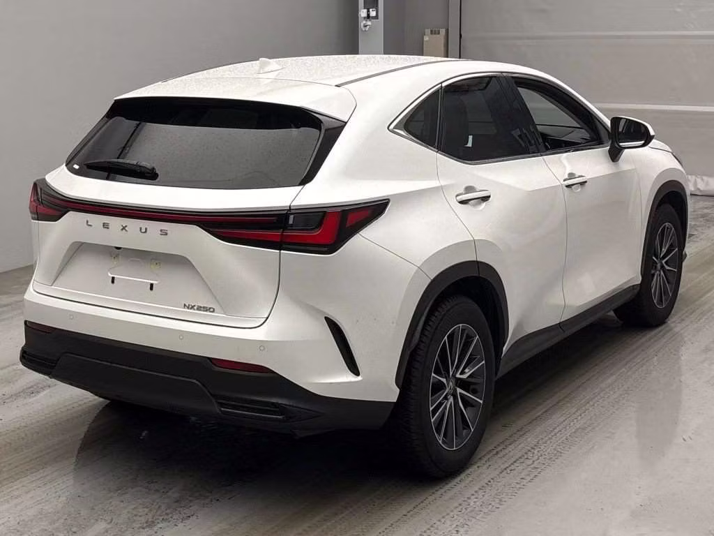 LEXUS NX250