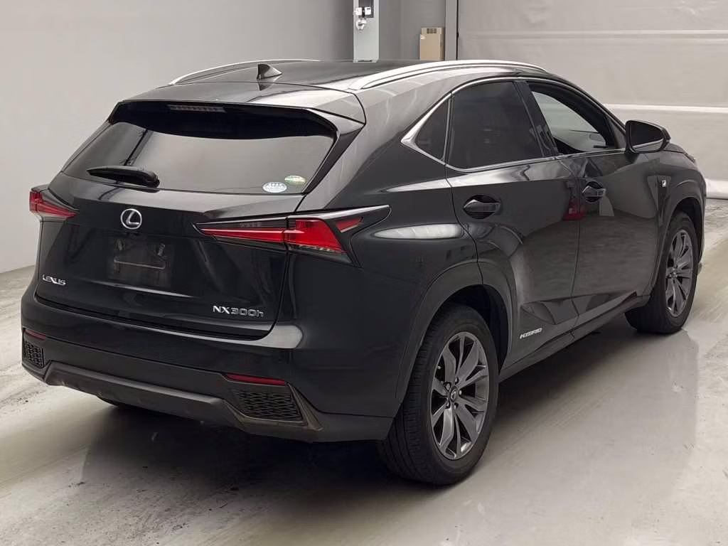 LEXUS NX300