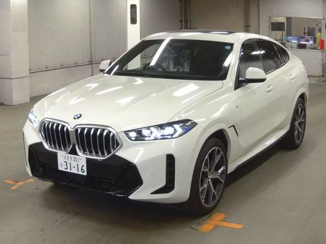 BMW X6