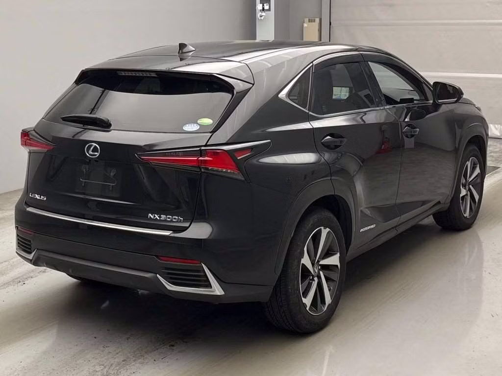 LEXUS NX300H
