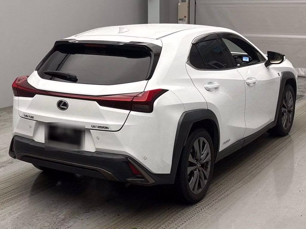 LEXUS UX250H