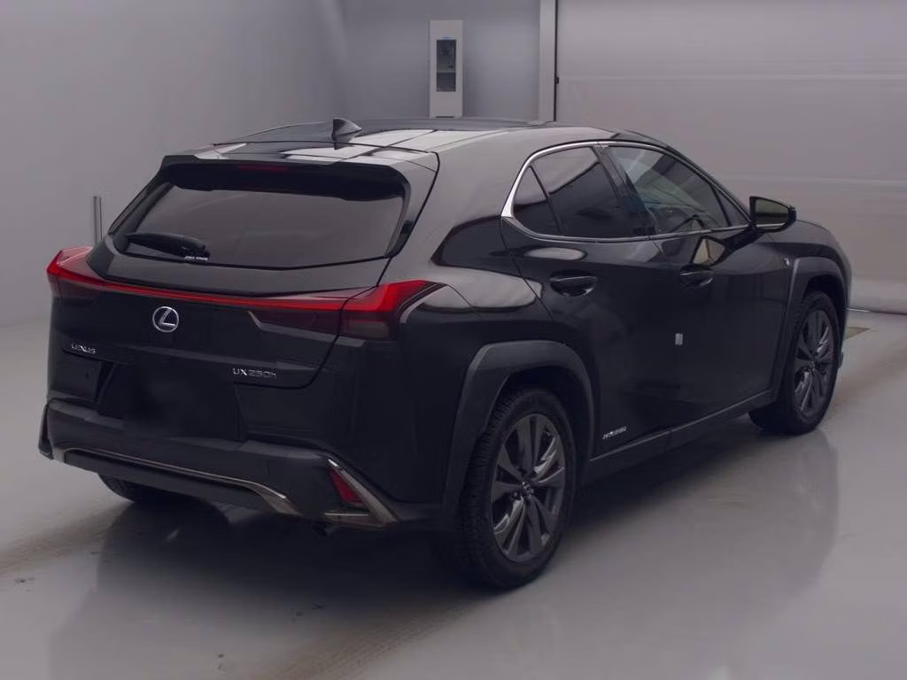 LEXUS UX250H