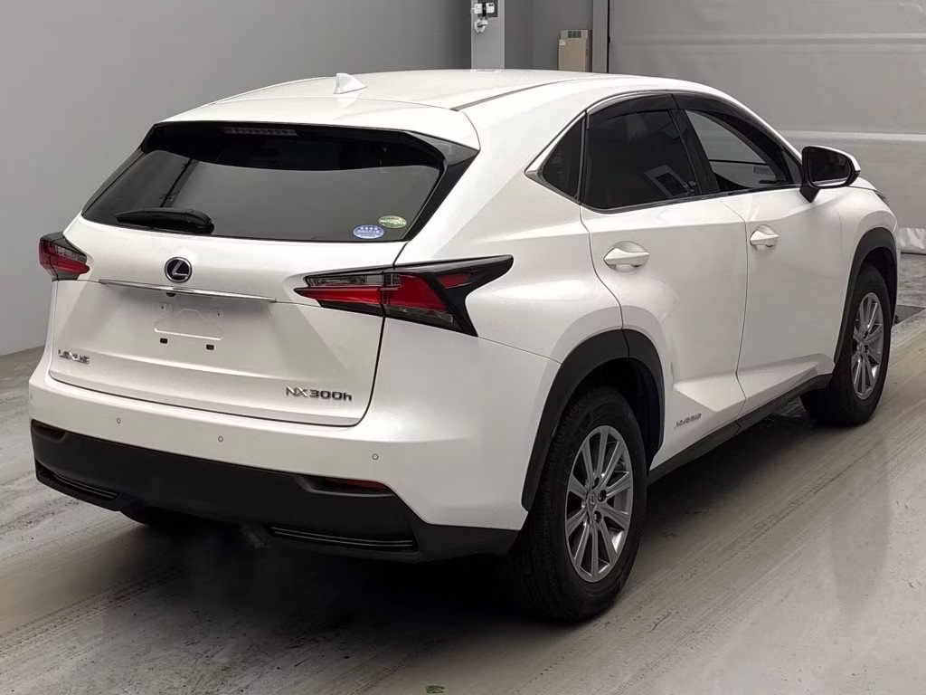 LEXUS NX300