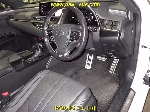 LEXUS ES300H