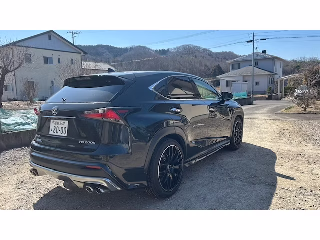 LEXUS NX300