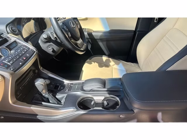 LEXUS NX300