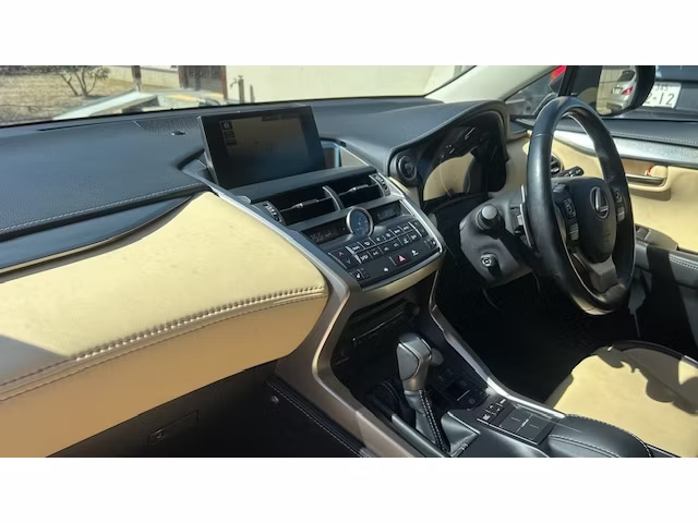 LEXUS NX300