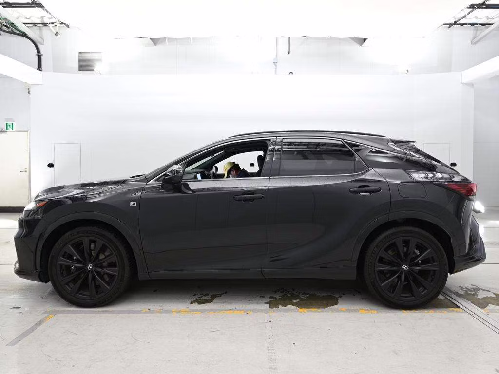 LEXUS RX500H