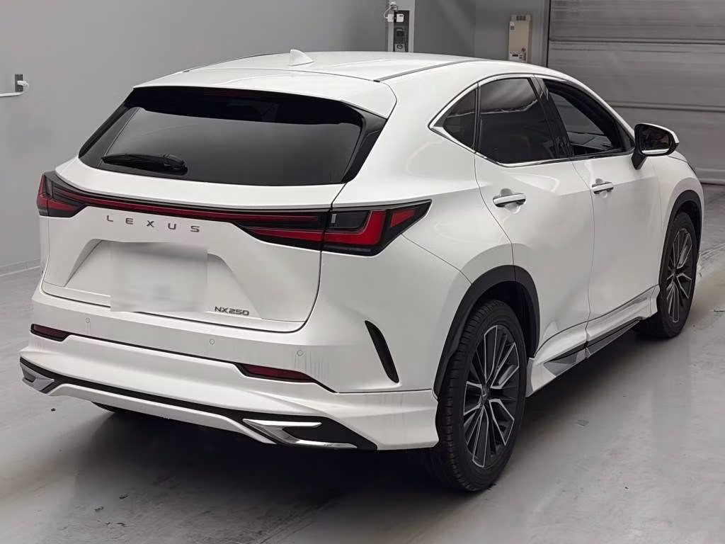 LEXUS NX250