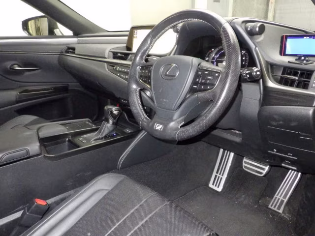 LEXUS ES300H