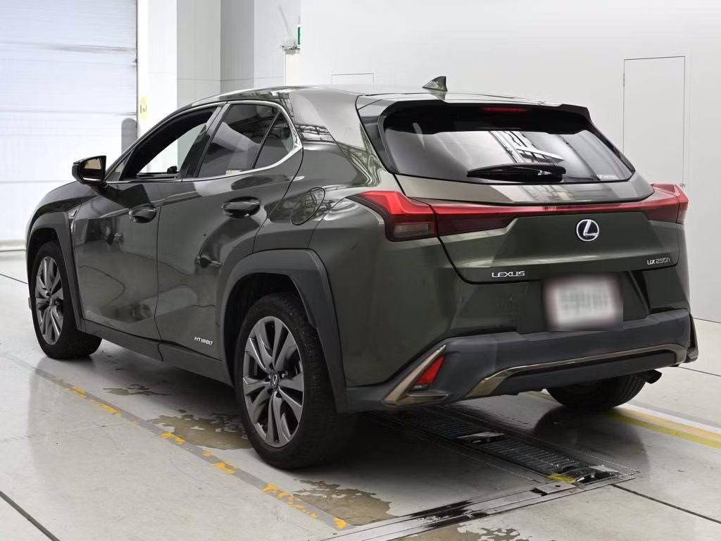 LEXUS UX250H